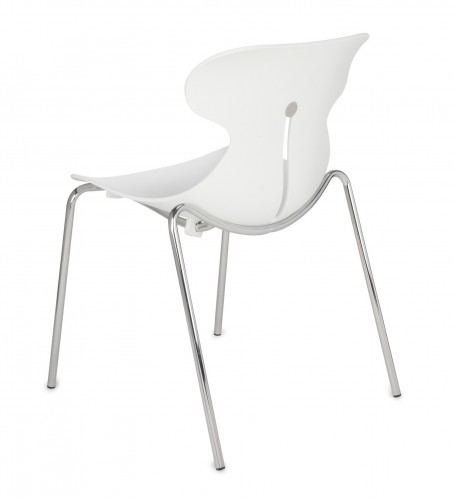 mariquita_bialy (Kopiowanie).jpg