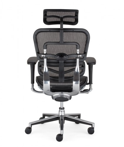 Enjoy Ergohuman - back.jpg