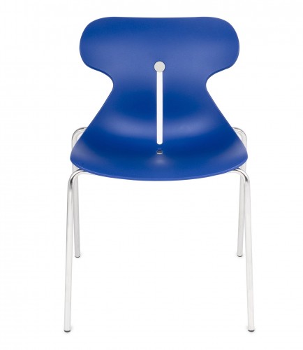 mariquita_niebieski (Kopiowanie).jpg